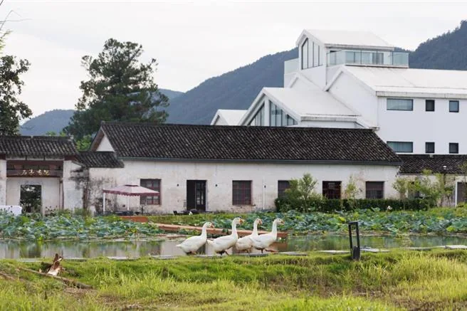 大陸「反向旅遊」風潮之下，許多具古老歷史的小城積極實踐煥發新生的轉型。（新華社）