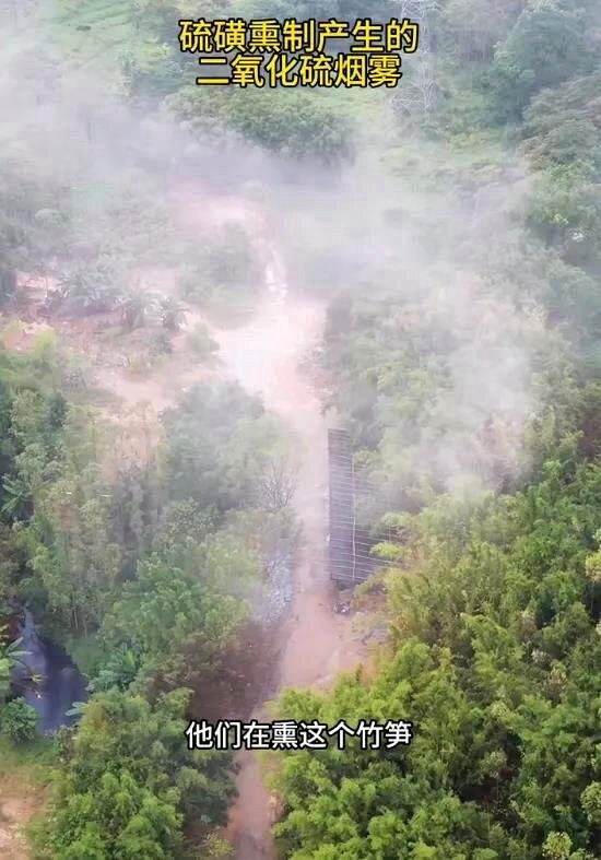 广东硫磺熏笋二氧化硫超标4860mg 官方查封追溯 1 曾爆料「甲醛白菜」的知名短視頻博主「漁獵齊哥」18日再發視頻,指控廣東清遠有加工點違法使用硫磺熏製麻竹筍。(取材自每日經濟新聞)