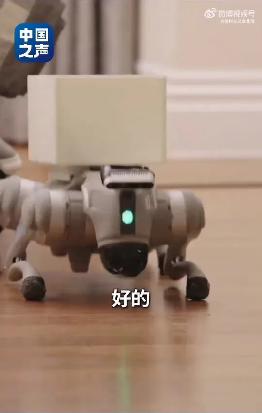 中國第二例侵入式腦機接口臨牀患者張先生，分享手術後生活，僅憑意念，就能操控輪椅在公園散步，亦可指揮機械狗取回外賣。（中國之聲）