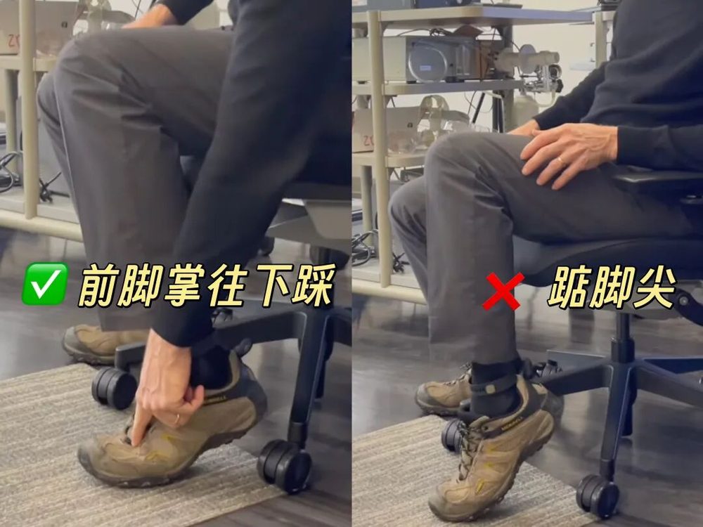 研究:比目鱼肌俯卧撑可降低餐后血糖52% 8 63361f880f317108cbe3247f42cf4dabfa0150ff2d651ec961efaa871dfe0255 article