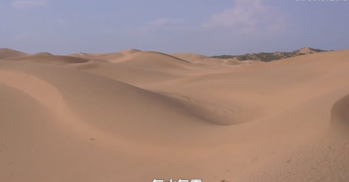 新疆塔克拉玛干沙漠惊现古河道 500米深竟藏淡水 颠覆传统认知 7 在大陸寧夏,過度放牧是導致土地沙化的主因之一,當地民眾和政府上世紀起便致力於治沙,將一片不毛之地變成塞上綠洲,將沙漠向後推了20多公里。(影片截圖:ETtoday)