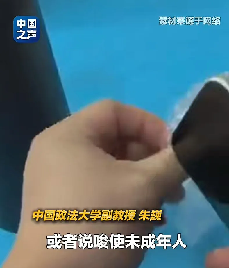中國政法大學副教授朱巍認為，部分商家明確以幫助中小學生躲避學校檢查為賣點，偏離了普通收納商品的使用場景。（微信視頻號@中國之聲）