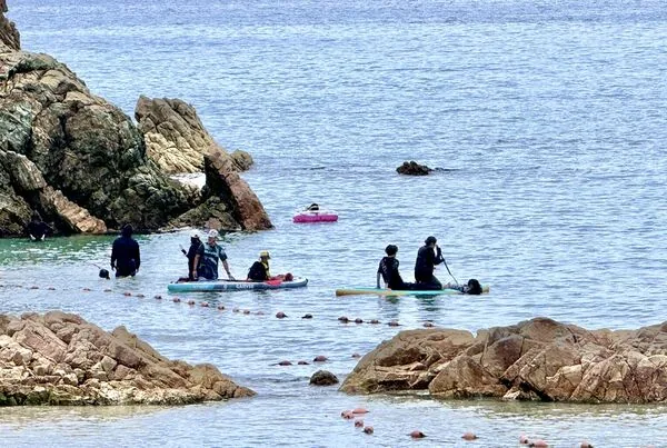 瑞风号专程停靠的鸟取隐世米其林餐厅 无人小站旁海景意大利面 24 ▲▼鳥取岩美Al Mare義大利餐廳與東濱海岸。(圖/《小虎食夢網》授權提供)