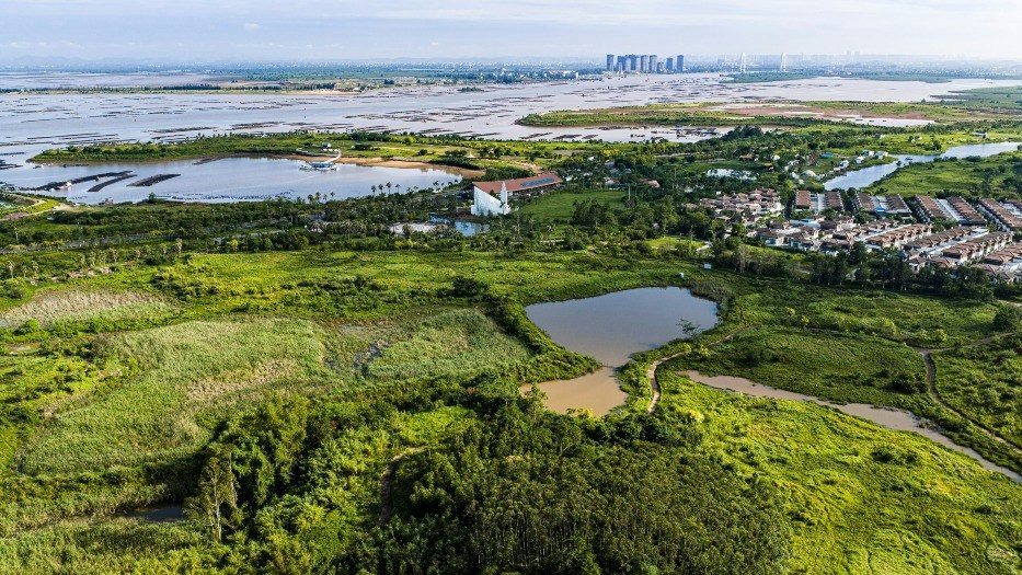 廣西欽州茅尾海海域，平陸運河入海口一帶。（視覺中國/當代中國授權）