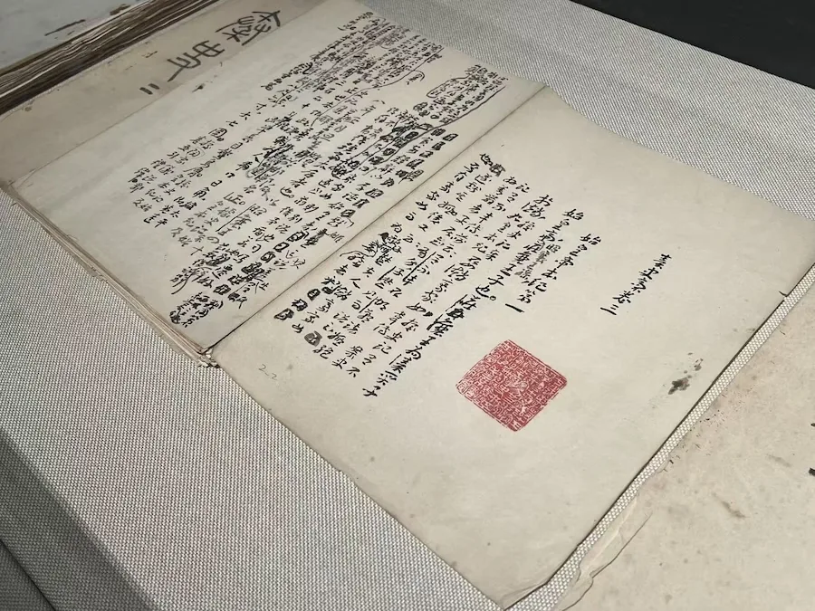 现场|“近代章草第一人”王蘧常 逾百件作品手稿复旦展出 9 67a4784029f2effaf3f93c0359edf70b9da1975054502b8bf6cce83696b41c4e article