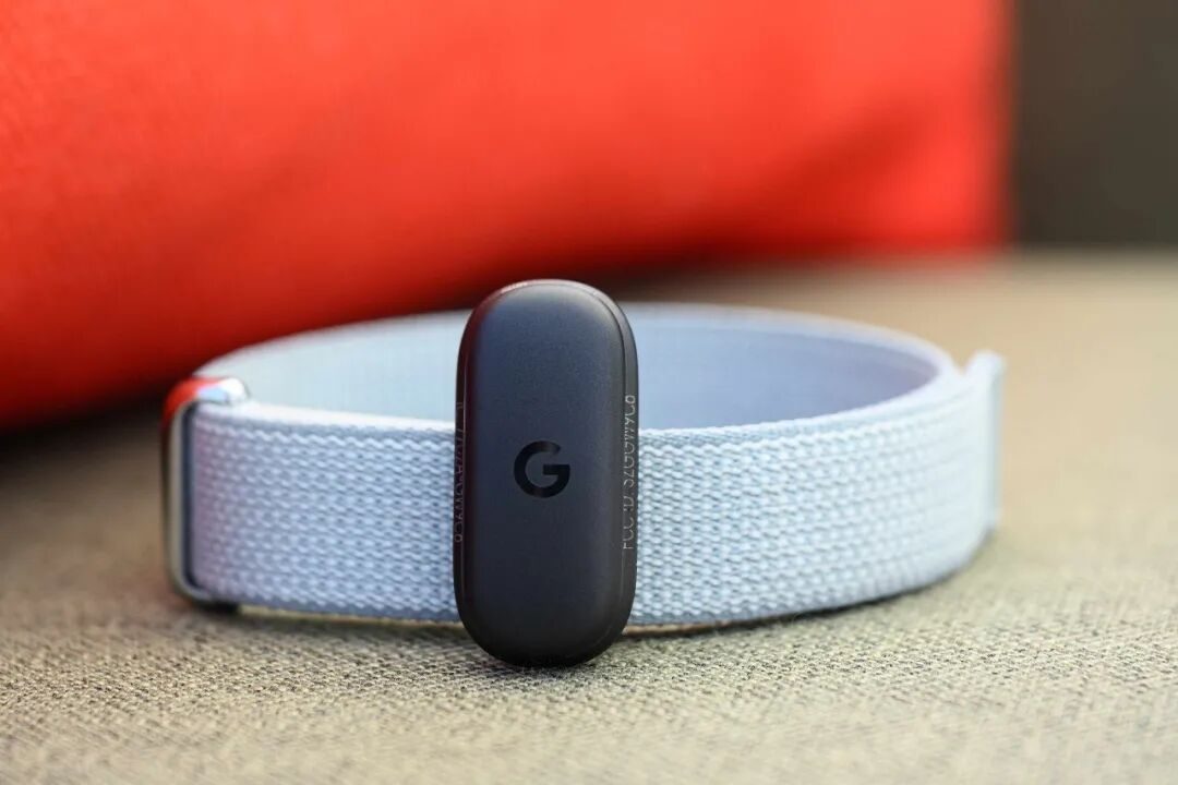 Fitbit Air 手环深度体验:「无屏」只是手段,模型能力才是护城河 1 图片