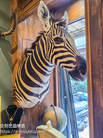 ▲▼台南仰角舶物的動物標本博物館。（圖／《史努比遊樂園》授權提供）