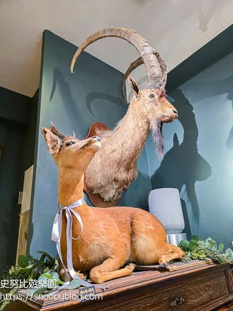 ▲▼台南仰角舶物的動物標本博物館。（圖／《史努比遊樂園》授權提供）