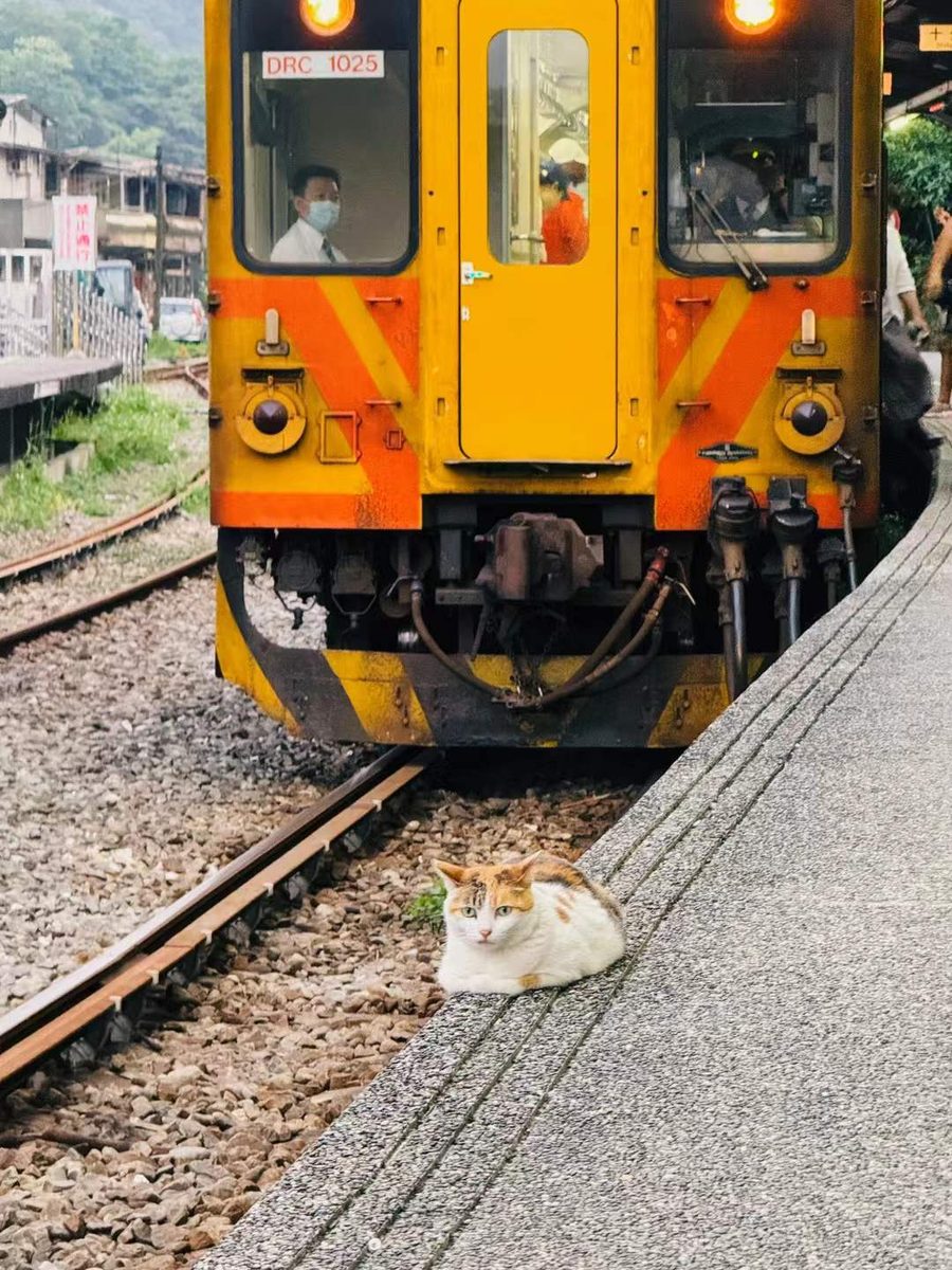 1组-1.jpg