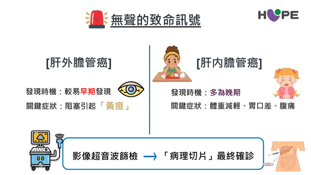 6fa163d77b5d27ccee587c9525df592f1b3b2e14be2dea28a54816d0e7b4bcf2 article