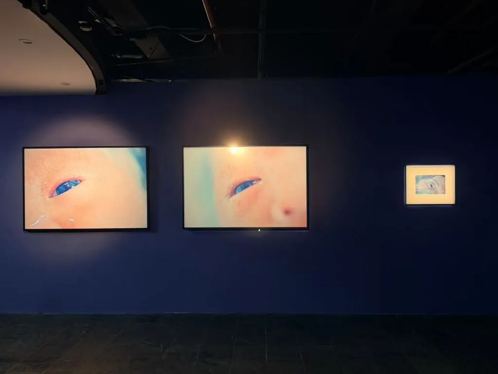上海多伦现代美术馆“将死亡带回生活”展 讨论如何面对死亡 6 72271355d578d60821b7172edfc1226ed93970e4b8007cb47869c695a288f17f article