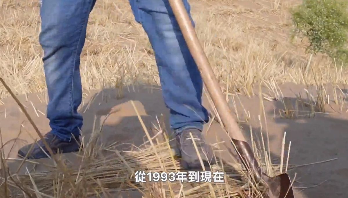 新疆塔克拉玛干沙漠惊现古河道 500米深竟藏淡水 颠覆传统认知 8 在大陸寧夏,過度放牧是導致土地沙化的主因之一,當地民眾和政府上世紀起便致力於治沙,將一片不毛之地變成塞上綠洲,將沙漠向後推了20多公里。(影片截圖:ETtoday)
