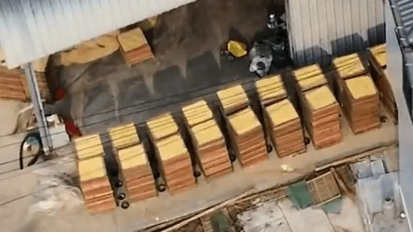 阳朔桂花加工点堆放的一排盘框。视频画面。