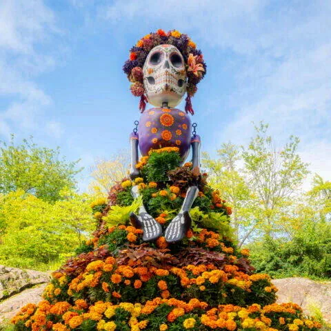紐約植物園「亡靈節」的巨型卡翠娜。(NYBG網站)