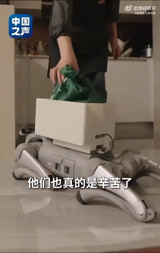 中國第二例侵入式腦機接口臨牀患者張先生，分享手術後生活，僅憑意念，就能操控輪椅在公園散步，亦可指揮機械狗取回外賣。（中國之聲）