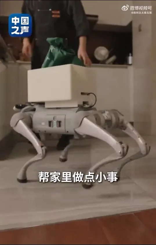 中國第二例侵入式腦機接口臨牀患者張先生，分享手術後生活，僅憑意念，就能操控輪椅在公園散步，亦可指揮機械狗取回外賣。（中國之聲）
