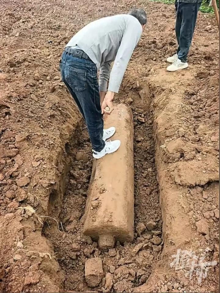 西安村民在菜地裡挖出800年前大石柱，菜地主人說，這些年有人偷偷來這裡尋寶過。圖／取材自極目新聞