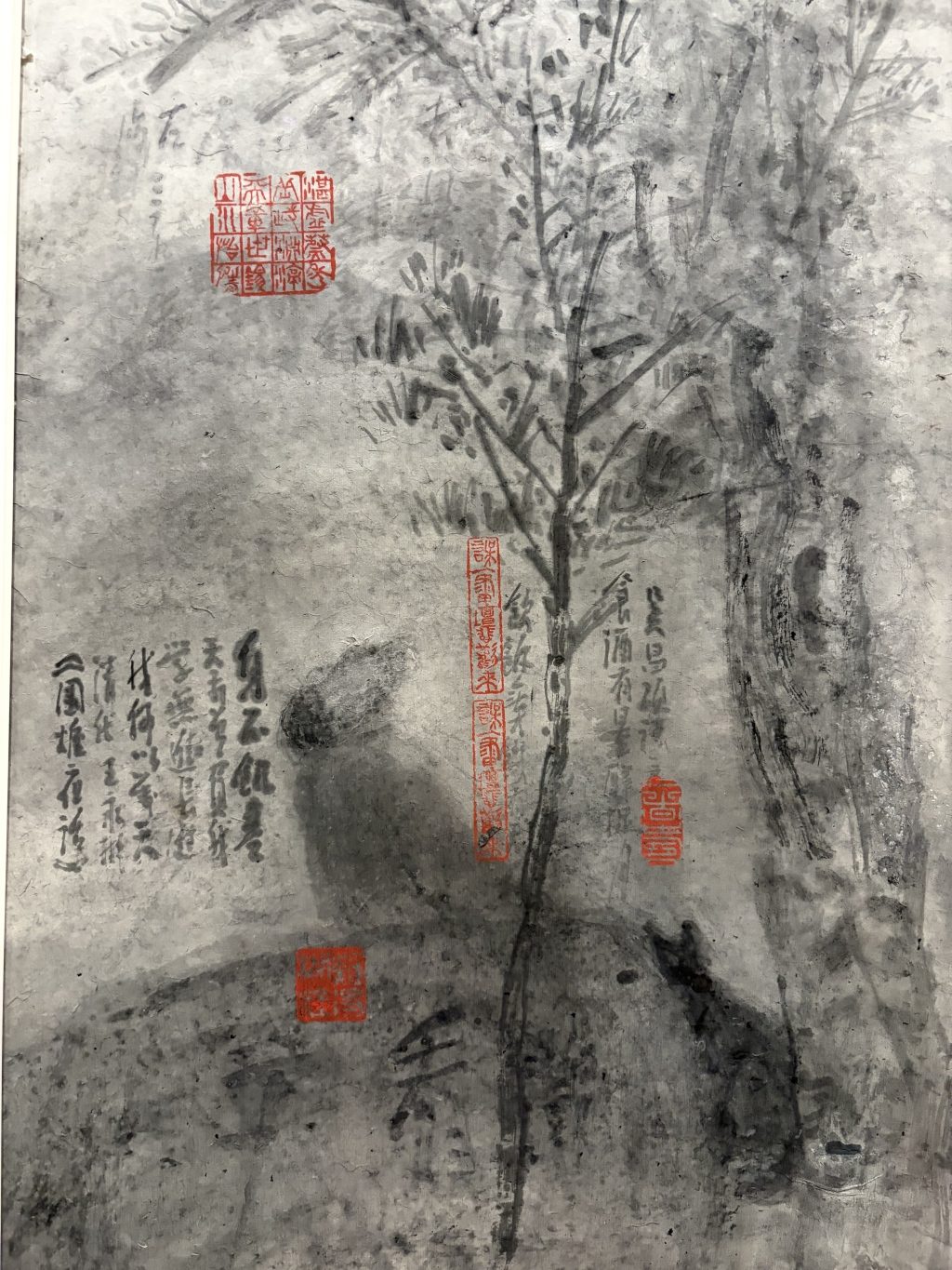 故宫八大山人等国庆特展观展笔记:文人笔墨到万千世界 7 80852d9063416741aa1eb4fbc02f5df9b274854716776f408518a852ea47379e article