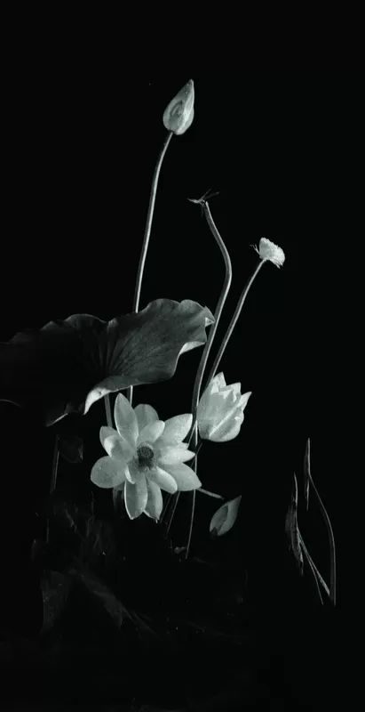 纪念|陈长芬:“艺术,本来就该是生活的赞美诗” 4 80c28d493ed3ff6e8e647d08382af612950cec34815e5d89ae291e711454e98f article