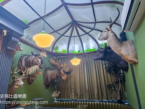 ▲▼台南仰角舶物的動物標本博物館。（圖／《史努比遊樂園》授權提供）
