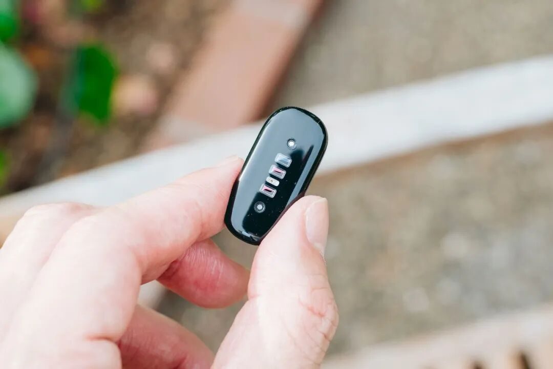 Fitbit Air 手环深度体验:「无屏」只是手段,模型能力才是护城河 3 图片