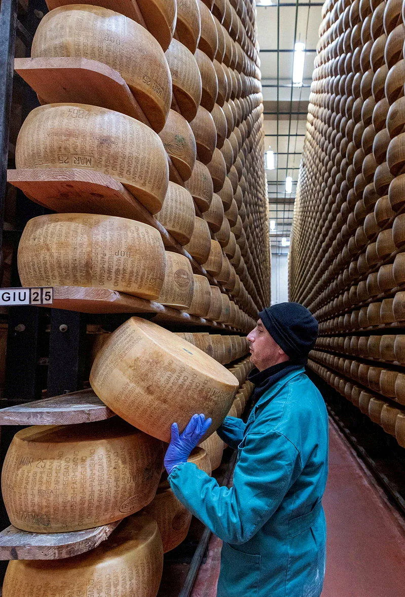 一名起司製造廠的員工正在轉動一塊帕瑪森起司。(路透)