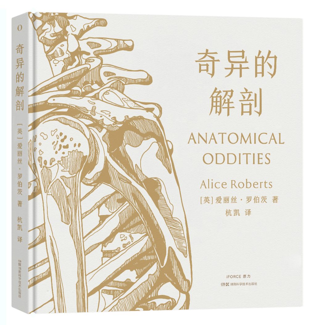 2026年7月中南好书|和我说声早安吧 5 8a10613ca8b24fe72222753d805eeb670dbf41444d754ba9d3198fa2fe38fab6 article