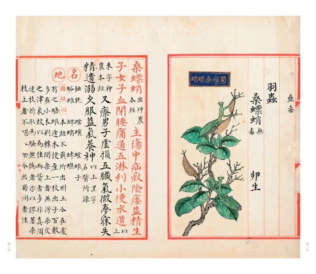 十竹斋笺谱等珍稀古籍影印出版 鲁迅曾盛赞其画刻印三绝 15 929cb7439b715f1aa52d15b3e73006f3e1699ff84c47f5db9b93d799834ebbe2 article