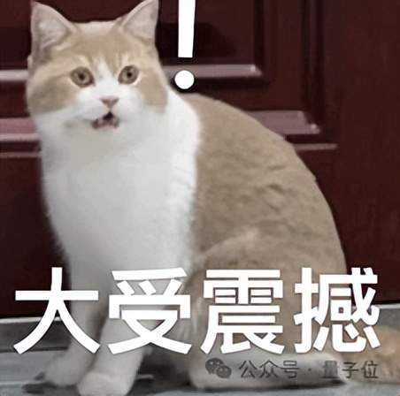 Qwen 3.8-27B测评:6秒生成网页 但后端全是空壳 4 983a5c493d9febc875039fc86b298b20f6d2a31c481d32a68efba25fc29333bd article