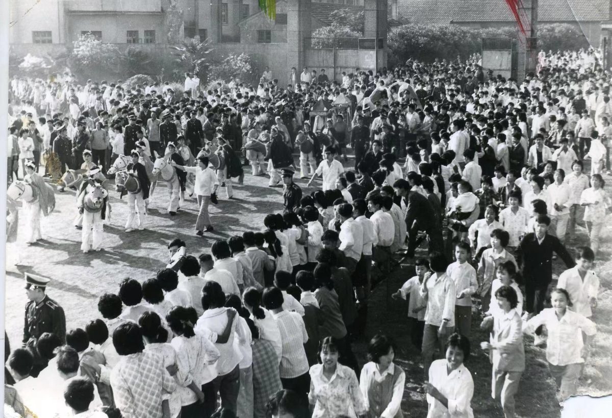 江南古镇朱泾花灯会 从晚清赛城隍到今日非遗 2 9bde1c952d731b581468cb65e947aca8462c0c50cd95195e8a89eb8685d2d4bb article