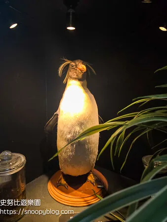 ▲▼台南仰角舶物的動物標本博物館。（圖／《史努比遊樂園》授權提供）