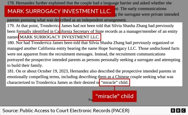 加州豪宅住14名代孕婴幼儿 两人被控串谋虐待儿童 2 一份法院判决书的节录,其中“马克代孕投资有限公司”和“‘奇迹’孩子”等字眼以红色标示。
