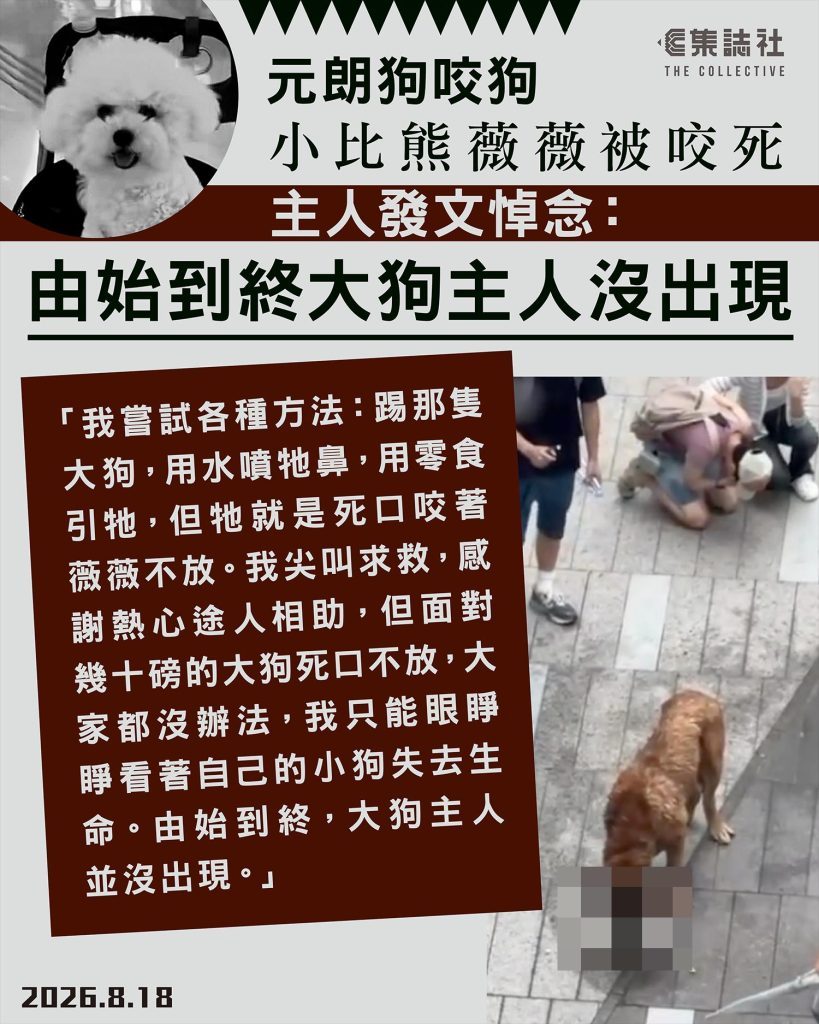 元朗狗咬狗|小比熊薇薇被咬死 主人发文悼念:由始到终,大狗主人并没出现 1 a80709c4c7c4c979ea6bc6cdc00078120a8ad42008b13123d2bf5862ea0809c3 article