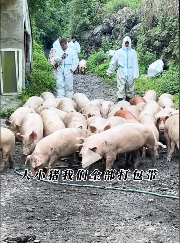 微信图片_2026-08-31_185614_613.png