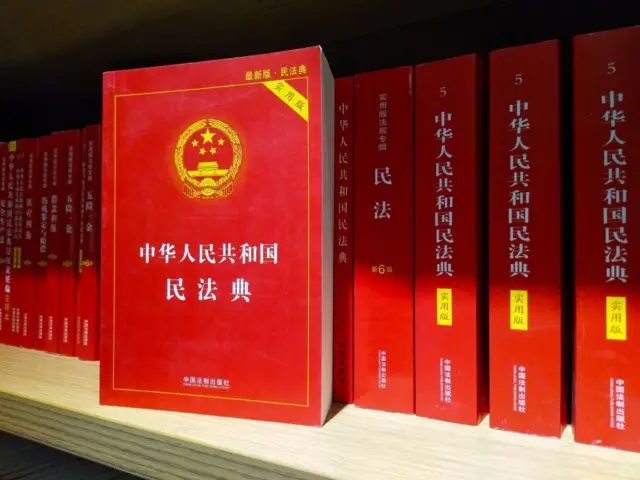 《中华人民共和国民法典》的书籍。