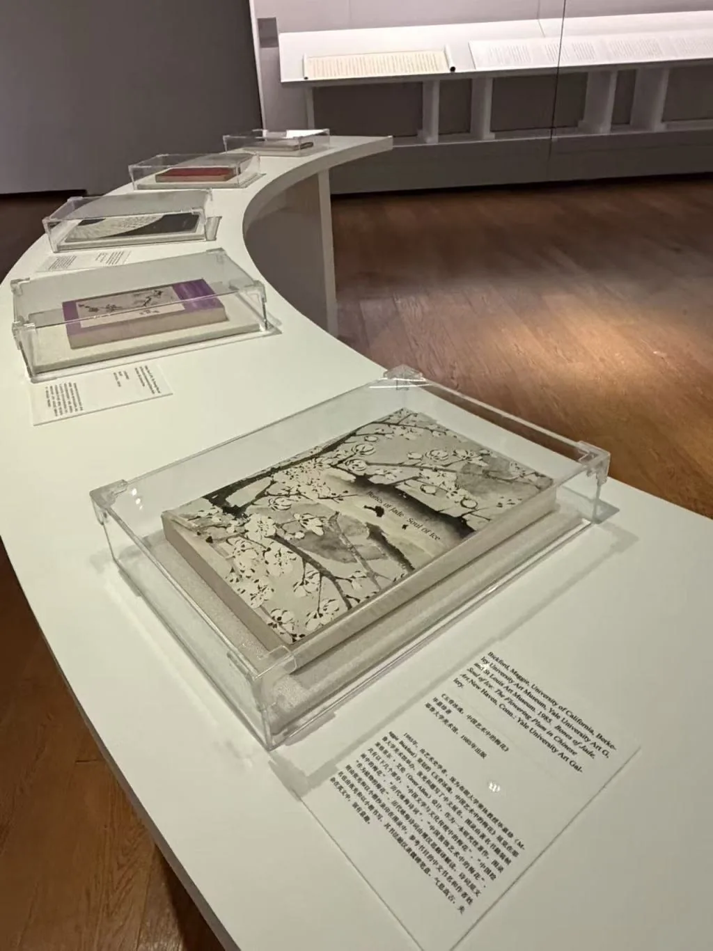 浙江大学展出一代才女张充和的诗书画曲,展览10月27日开幕 16 ac4a2984f9d3291d4644d19f2e0a12efa4b606715be5462cbb1193e2b1d5ac8f article
