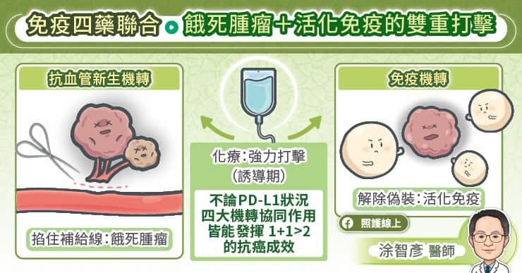 无标靶药也能逆转胜!晚期肺腺癌迎「免疫四药联合」新曙光,名医解析存活关键 2 免疫四藥聯合