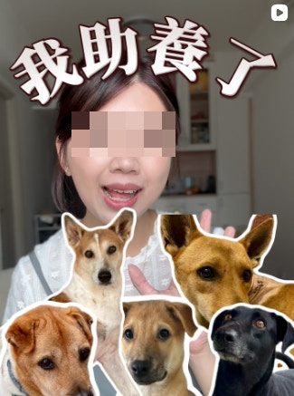 打鼓岭狗咬死人|10多名亲友到案发「狗酒店」草地路祭 神情哀痛 6 死者生前積極助養殘疾老狗。(Instagram截圖)