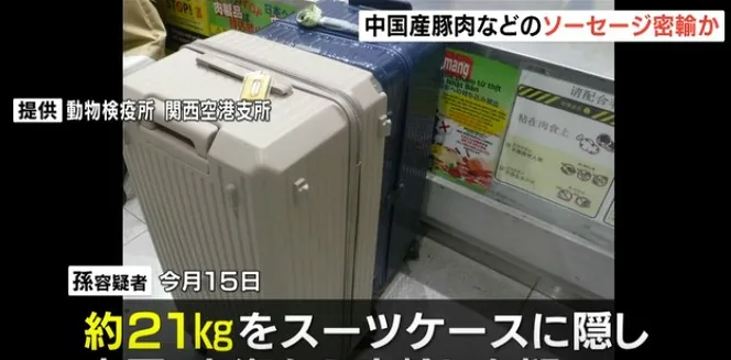 日本大阪府警方2026年10月拘捕一名涉嫌走私21.75公斤肉腸入境日本的47歲中國籍女子，她把商品放進行李與背包中（影片截圖）