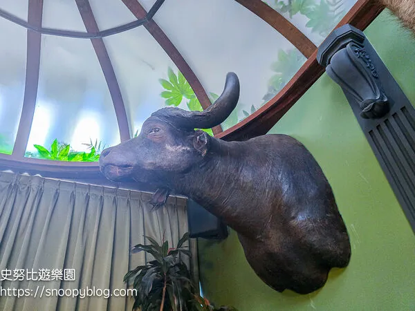 ▲▼台南仰角舶物的動物標本博物館。（圖／《史努比遊樂園》授權提供）