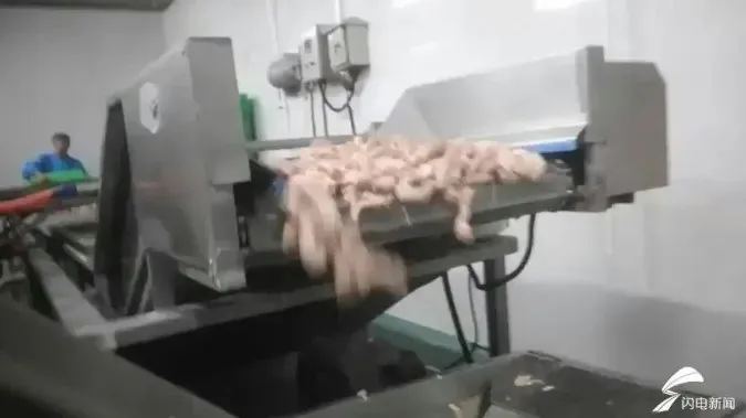 河南食品加工厂将鸡脖等原料送入加工设备。