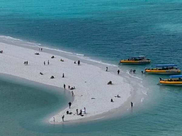 澳洲大堡礁海空两种玩法 空中俯瞰心形礁、橡皮艇前往白天堂沙滩 2 ▲▼澳洲大堡礁一日遊。(圖/ReadyGo授權提供)