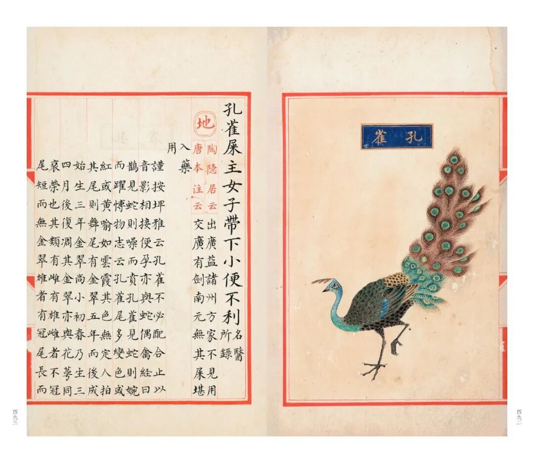 十竹斋笺谱等珍稀古籍影印出版 鲁迅曾盛赞其画刻印三绝 14 c142aa7770b7c493f211a2e6c0a4533566a39e0bdeb718523c000b906df3f0de article