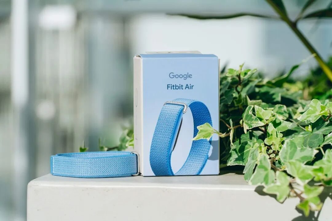Fitbit Air 手环深度体验:「无屏」只是手段,模型能力才是护城河 2 图片