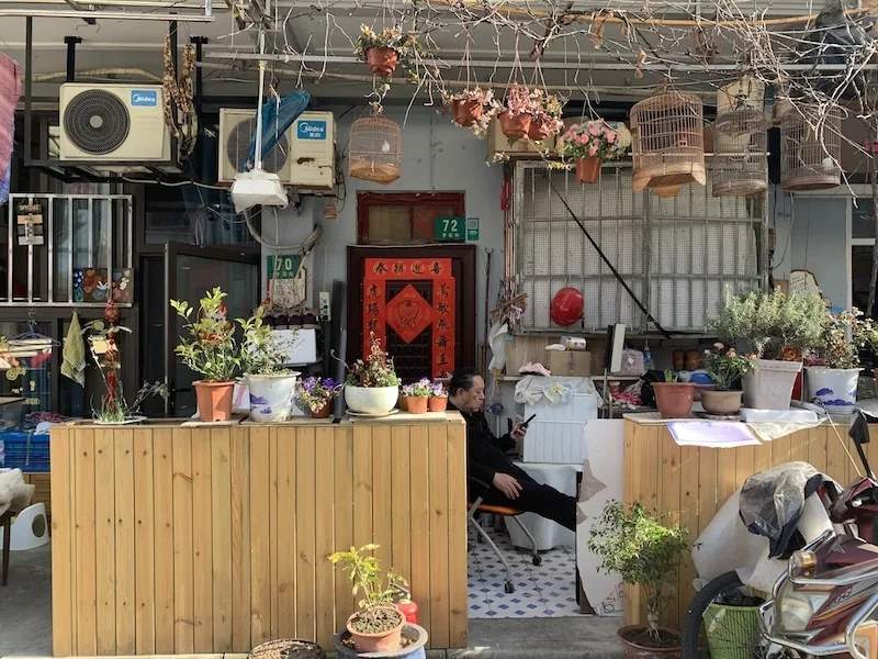 对话|丁枫:“沪派江南”的中心是老城厢 18 c65948f92523e8d4407fb484639b1b72c7e8fd3fa1e18c13651dc3c94be0ef3c article