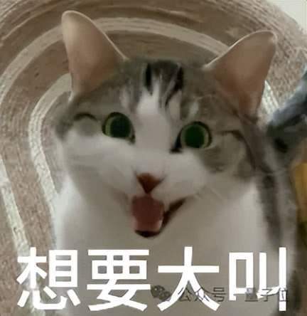 阿里11个月前论文解密GPT-6循环Transformer摸鱼真相 8 c675718d5d6841432e0fbe9ec0f2e908f3dd2fb54c7b8326f8b28d711a488675 article