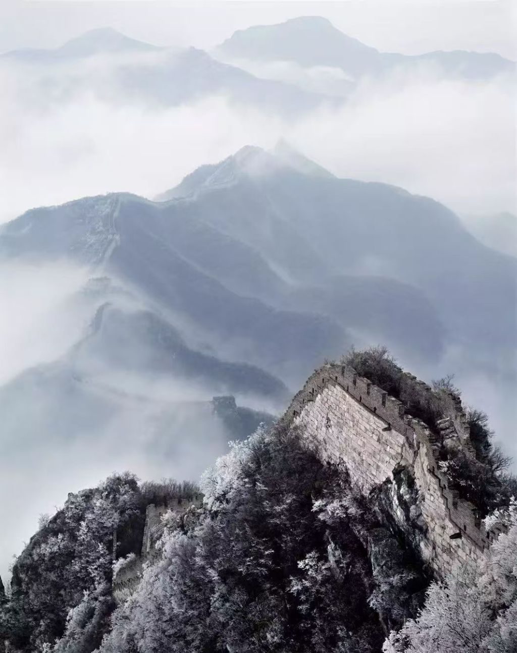 纪念|陈长芬:“艺术,本来就该是生活的赞美诗” 9 cb89ff82347de995264173775fcf15e29efa6713c854ded381cf98f770529744 article