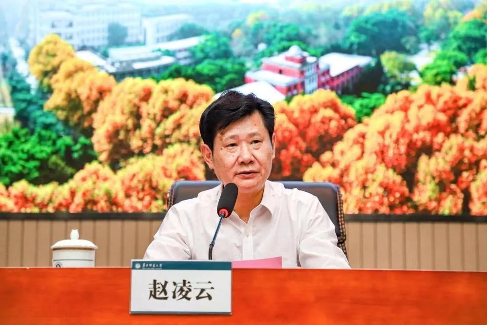 赵凌云在会议上发言