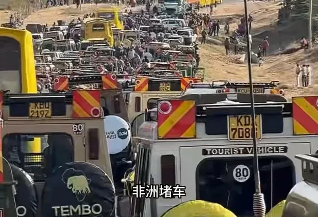 大批中國人到非洲旅遊。（抖音）