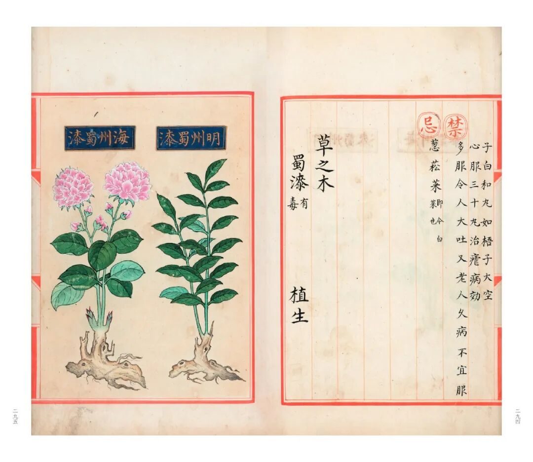 十竹斋笺谱等珍稀古籍影印出版 鲁迅曾盛赞其画刻印三绝 16 d1d5b824381b1d0f542596f267f7529e98d01b754adb17088f49f024c82b7dba article